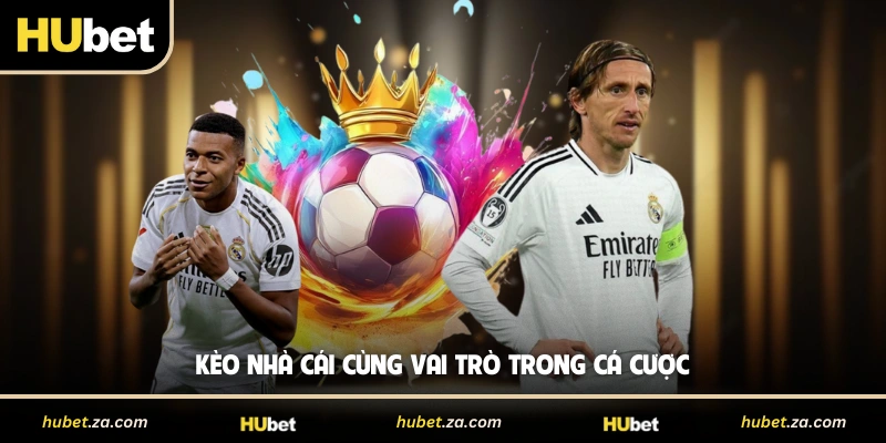 Kèo nhà cái cùng vai trò trong cá cược