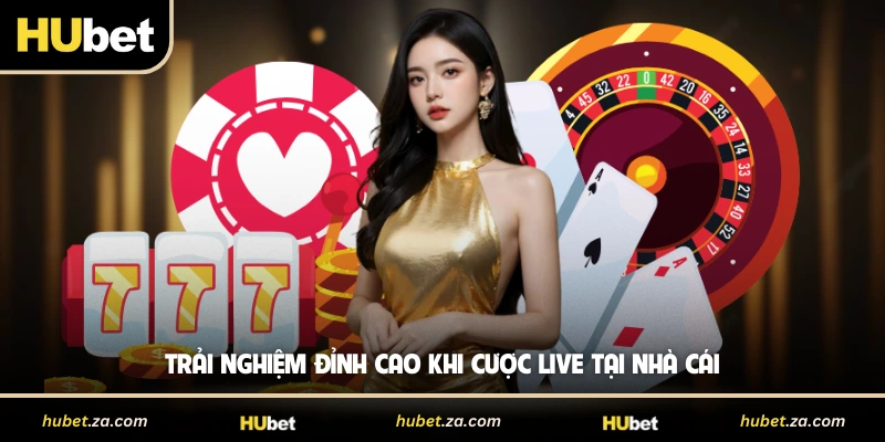 Trải nghiệm đỉnh cao khi cược live tại nhà cái